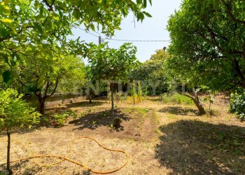 Via Salemi 18 (18).jpg - Villa Via Salemi 18, Mascalucia - foto 20