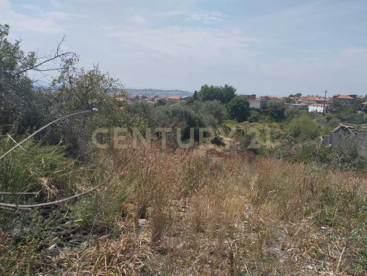 IMG-20250618-WA0093.jpg - Terreno agricolo CONTRADA MANGIONE snc, Catania - foto 1