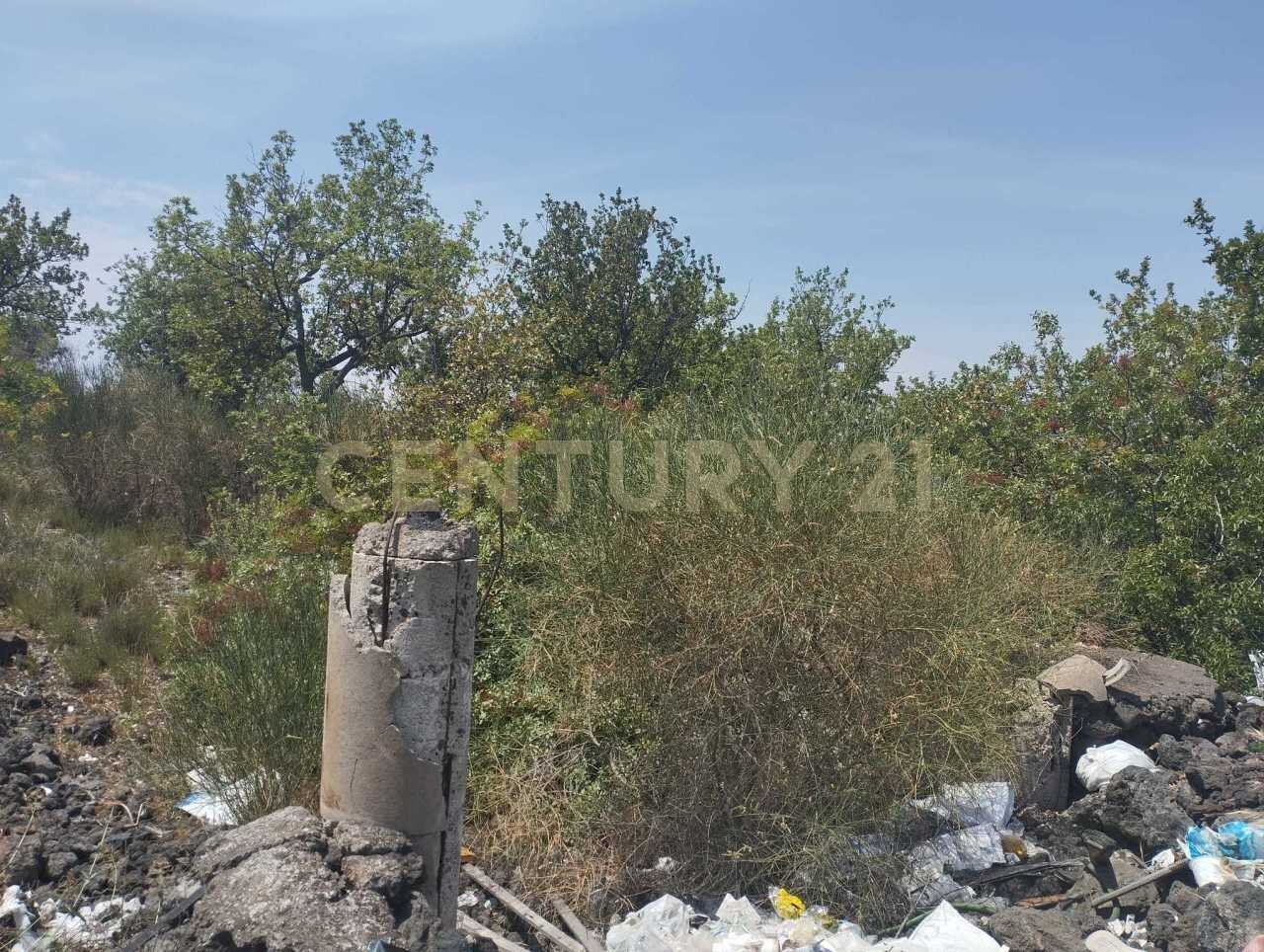 IMG-20250618-WA0091.jpg - Terreno agricolo CONTRADA MANGIONE snc, Catania - foto 3