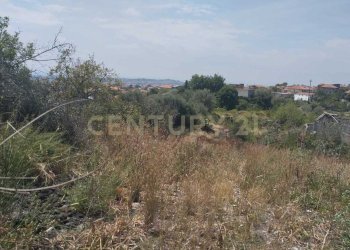 IMG-20250618-WA0093.jpg - Agricultural land CONTRADA MANGIONE snc, Catania - photo 1