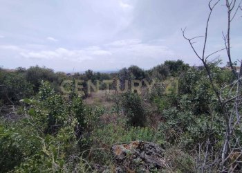 IMG-20250618-WA0094.jpg - Agricultural land CONTRADA MANGIONE snc, Catania - photo 2