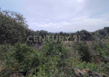 IMG-20250618-WA0075.jpg - Agricultural land CONTRADA MANGIONE snc, Catania - photo 4