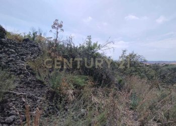 IMG-20250618-WA0078.jpg - Agricultural land CONTRADA MANGIONE snc, Catania - photo 5