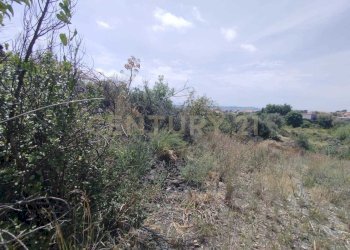 IMG-20250618-WA0076.jpg - Agricultural land CONTRADA MANGIONE snc, Catania - photo 6