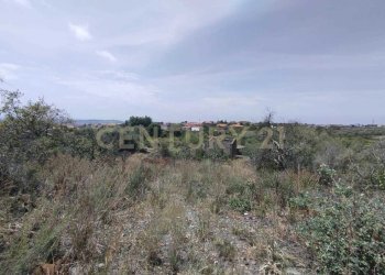 IMG-20250618-WA0077.jpg - Agricultural land CONTRADA MANGIONE snc, Catania - photo 8