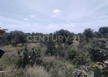 IMG-20250618-WA0082.jpg - Agricultural land CONTRADA MANGIONE snc, Catania - photo 9