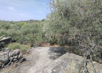 IMG-20250618-WA0089.jpg - Agricultural land CONTRADA MANGIONE snc, Catania - photo 14