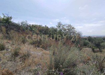 IMG-20250618-WA0088.jpg - Agricultural land CONTRADA MANGIONE snc, Catania - photo 15