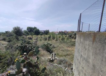 IMG-20250618-WA0086.jpg - Agricultural land CONTRADA MANGIONE snc, Catania - photo 17