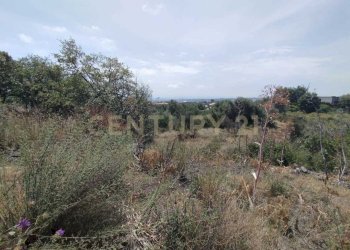 IMG-20250618-WA0085.jpg - Agricultural land CONTRADA MANGIONE snc, Catania - photo 18