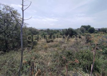 IMG-20250618-WA0084.jpg - Agricultural land CONTRADA MANGIONE snc, Catania - photo 20