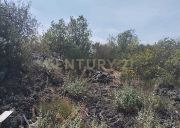 IMG-20250618-WA0095.jpg - Agricultural land CONTRADA MANGIONE snc, Catania - photo 21