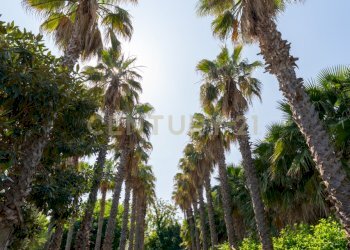 Via Timparosa 39 (2).jpg - Villa Via Timparosa 39, Aci Castello - foto 3