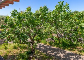 Villa Adrano (13).jpg - Villa SS284, Adrano - foto 14