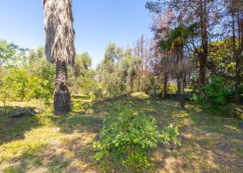 Via Roccamena 84 Acireale (6).jpg - Casale Via Roccamena 84, Acireale - foto 5