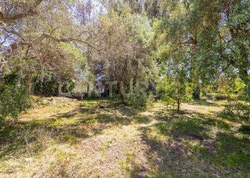 Via Roccamena 84 Acireale (11).jpg - Casale Via Roccamena 84, Acireale - foto 9