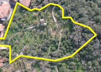 PHOTO-2025-03-26-16-34-14 (1).jpg - Terreno agricolo Via Trieste 59, Aci Castello - foto 7