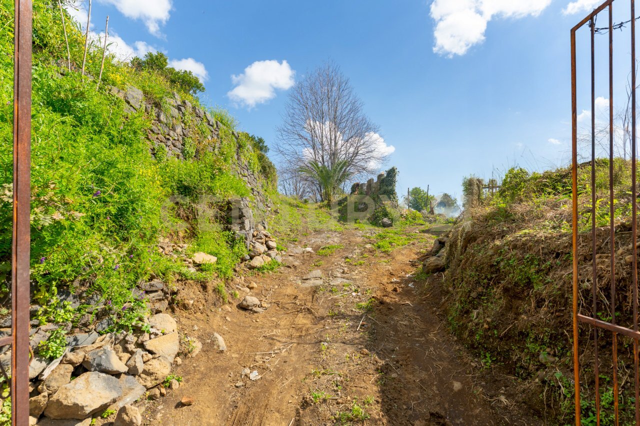 Terreno Macchia di Giarre (1).jpg - Agricultural land via giuseppe zinghirino 1, Giarre - photo 2