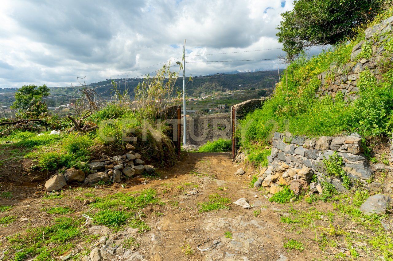 Terreno Macchia di Giarre (2).jpg - Agricultural land via giuseppe zinghirino 1, Giarre - photo 3