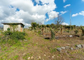 Terreno Macchia di Giarre (7).jpg - Terreno agricolo via giuseppe zinghirino 1, Giarre - foto 8