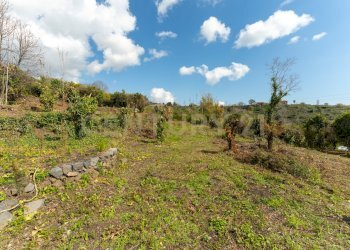 Terreno Macchia di Giarre (8).jpg - Terreno agricolo via giuseppe zinghirino 1, Giarre - foto 9