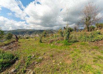 Terreno Macchia di Giarre (11).jpg - Terreno agricolo via giuseppe zinghirino 1, Giarre - foto 12