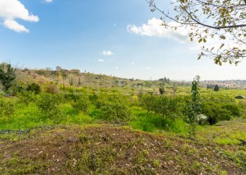 Terreno Macchia di Giarre (17).jpg - Terreno agricolo via giuseppe zinghirino 1, Giarre - foto 17