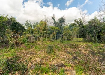 Terreno Macchia di Giarre (19).jpg - Terreno agricolo via giuseppe zinghirino 1, Giarre - foto 19