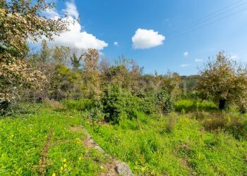 Terreno Macchia di Giarre (24).jpg - Terreno agricolo via giuseppe zinghirino 1, Giarre - foto 24