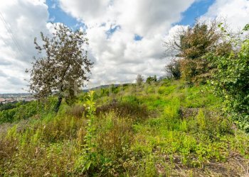 Terreno Macchia di Giarre (25).jpg - Terreno agricolo via giuseppe zinghirino 1, Giarre - foto 25