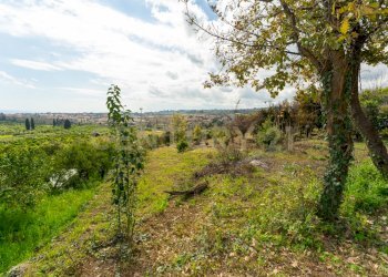 Terreno Macchia di Giarre (30).jpg - Terreno agricolo via giuseppe zinghirino 1, Giarre - foto 30