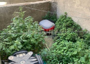 WhatsApp Image 2025-02-24 at 12.44.49 (1).jpeg - Rustico Via Cicerone 24, Enna - foto 12