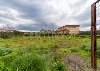 Terreno San Gregorio (5).jpg - Terreno agricolo Via Dante Alighieri, San Gregorio di Catania - foto 5