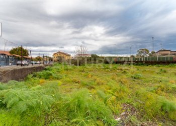 Terreno San Gregorio (6).jpg - Terreno agricolo Via Dante Alighieri, San Gregorio di Catania - foto 6