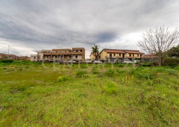 Terreno San Gregorio (7).jpg - Terreno agricolo Via Dante Alighieri, San Gregorio di Catania - foto 7