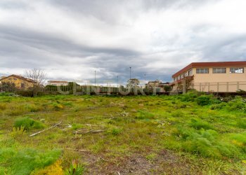 Terreno San Gregorio (8).jpg - Terreno agricolo Via Dante Alighieri, San Gregorio di Catania - foto 8