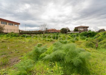 Terreno San Gregorio (9).jpg - Terreno agricolo Via Dante Alighieri, San Gregorio di Catania - foto 9