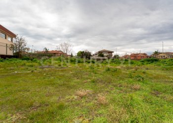 Terreno San Gregorio (10).jpg - Terreno agricolo Via Dante Alighieri, San Gregorio di Catania - foto 10
