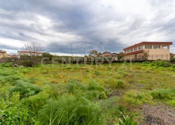 Terreno San Gregorio (12).jpg - Terreno agricolo Via Dante Alighieri, San Gregorio di Catania - foto 12