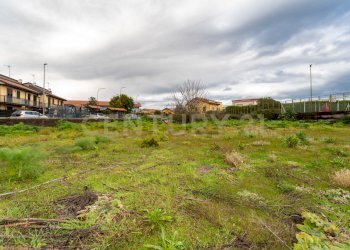 Terreno San Gregorio (13).jpg - Terreno agricolo Via Dante Alighieri, San Gregorio di Catania - foto 13