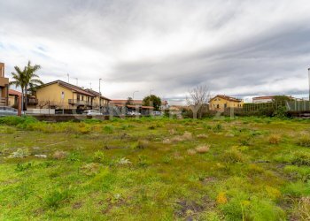 Terreno San Gregorio (15).jpg - Terreno agricolo Via Dante Alighieri, San Gregorio di Catania - foto 15