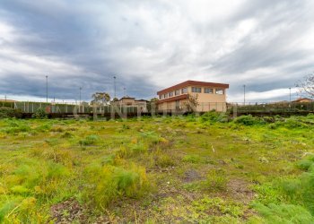 Terreno San Gregorio (16).jpg - Terreno agricolo Via Dante Alighieri, San Gregorio di Catania - foto 16