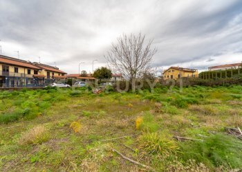 Terreno San Gregorio (17).jpg - Terreno agricolo Via Dante Alighieri, San Gregorio di Catania - foto 17