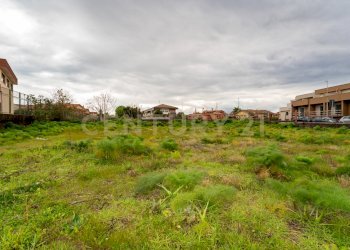 Terreno San Gregorio (18).jpg - Terreno agricolo Via Dante Alighieri, San Gregorio di Catania - foto 18