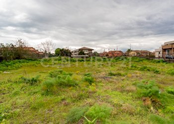 Terreno San Gregorio (19).jpg - Terreno agricolo Via Dante Alighieri, San Gregorio di Catania - foto 19