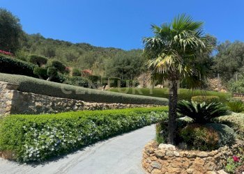 28eaf248-309a-4288-9e77-87c52ed8719e.JPG - Porzione di casa Via degli Atleti, Monte Argentario - foto 12