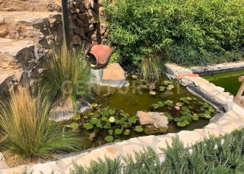 31de922d-3644-4b61-aafd-fc900a1f685d.JPG - Porzione di casa Via degli Atleti, Monte Argentario - foto 13