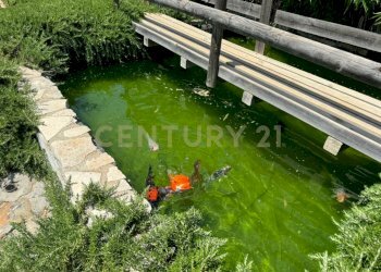 296c72be-366d-46bb-a328-158f19151b52.JPG - Porzione di casa Via degli Atleti, Monte Argentario - foto 16