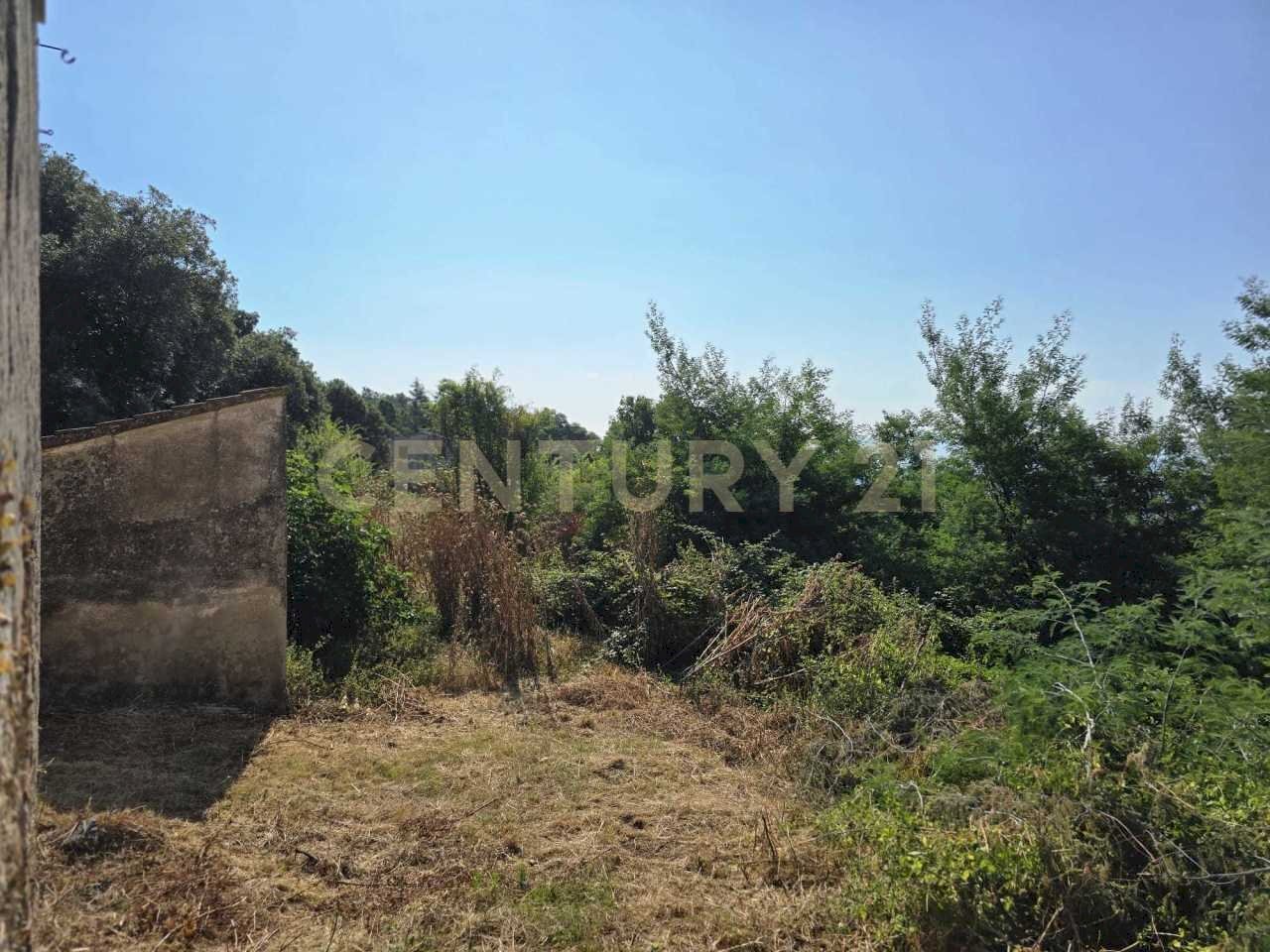 PHOTO-2025-07-04-18-18-43 (1).jpg - Casale LOCALITA CASETTE 0, Roccastrada - foto 2