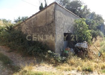 DSCF0438.JPG - Casale LOCALITA CASETTE 0, Roccastrada - foto 5